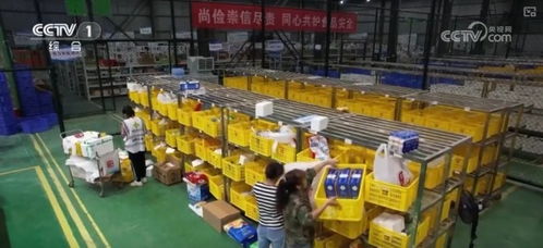 国庆假日市场供给丰富 消费场景频上 新 满足百姓多元化需求