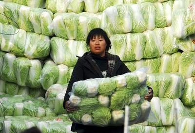 11月上旬36个城市18种蔬菜平均批发价格同比上涨62.4%