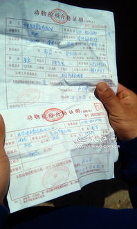 南昌活禽交易市场生意大不如前