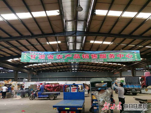 不仅要产得好,还要卖得好 金昌高原夏菜产销两旺