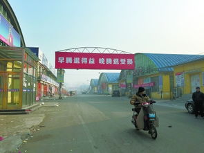 北京昌平腾退两大批发市场 腾退土地全部绿化