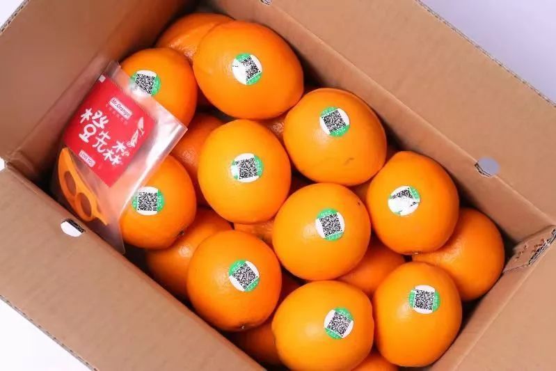 赣南超好吃的橙子熟了,你还不赶紧来一箱?