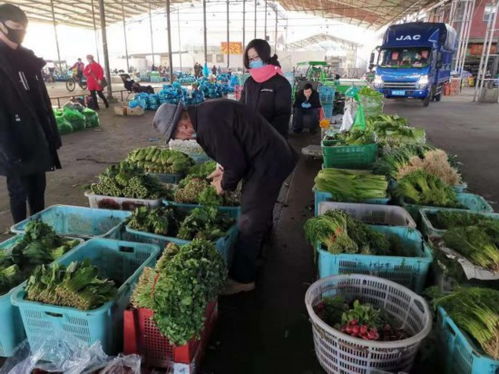 一波现场照片告诉你 上海市场蔬菜批发价格已经跌去一半,大白菜又回到 白菜价